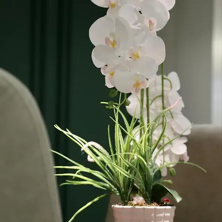 Apartamento La Grand - New Bazaar